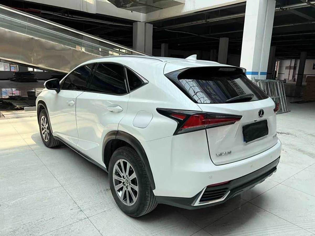 2021年1月雷克薩斯 NX  2020款 200 全驅(qū) 鋒尚版 國V