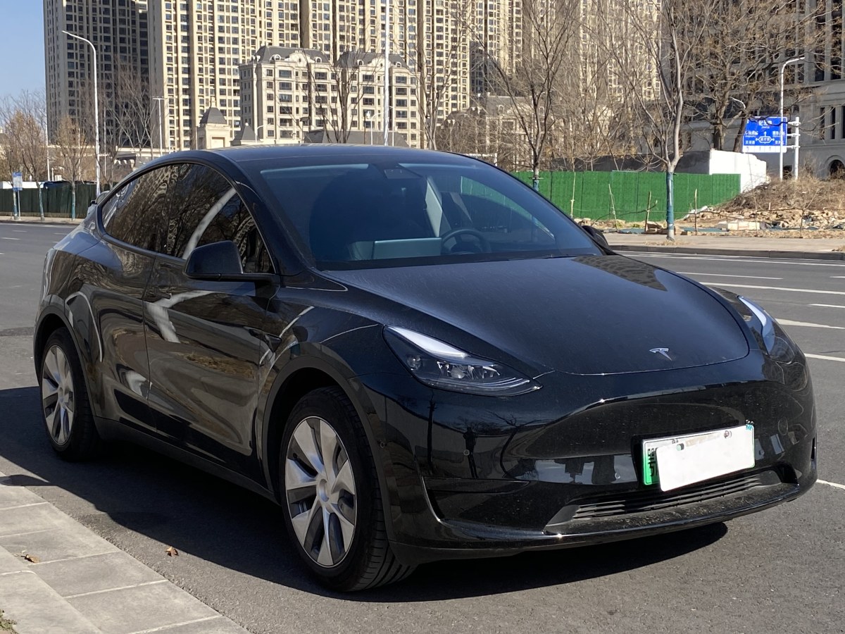 特斯拉 Model 3  2020款 改款 長續(xù)航后輪驅(qū)動版圖片