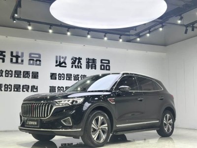 2020年4月 紅旗 紅旗HS5 2.0T 智聯(lián)旗享版圖片