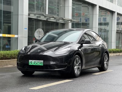 2021年9月 特斯拉 Model Y 改款 標(biāo)準(zhǔn)續(xù)航后驅(qū)升級(jí)版圖片