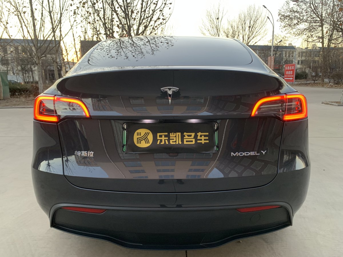 特斯拉 Model 3  2020款 改款 長續(xù)航后輪驅(qū)動版圖片