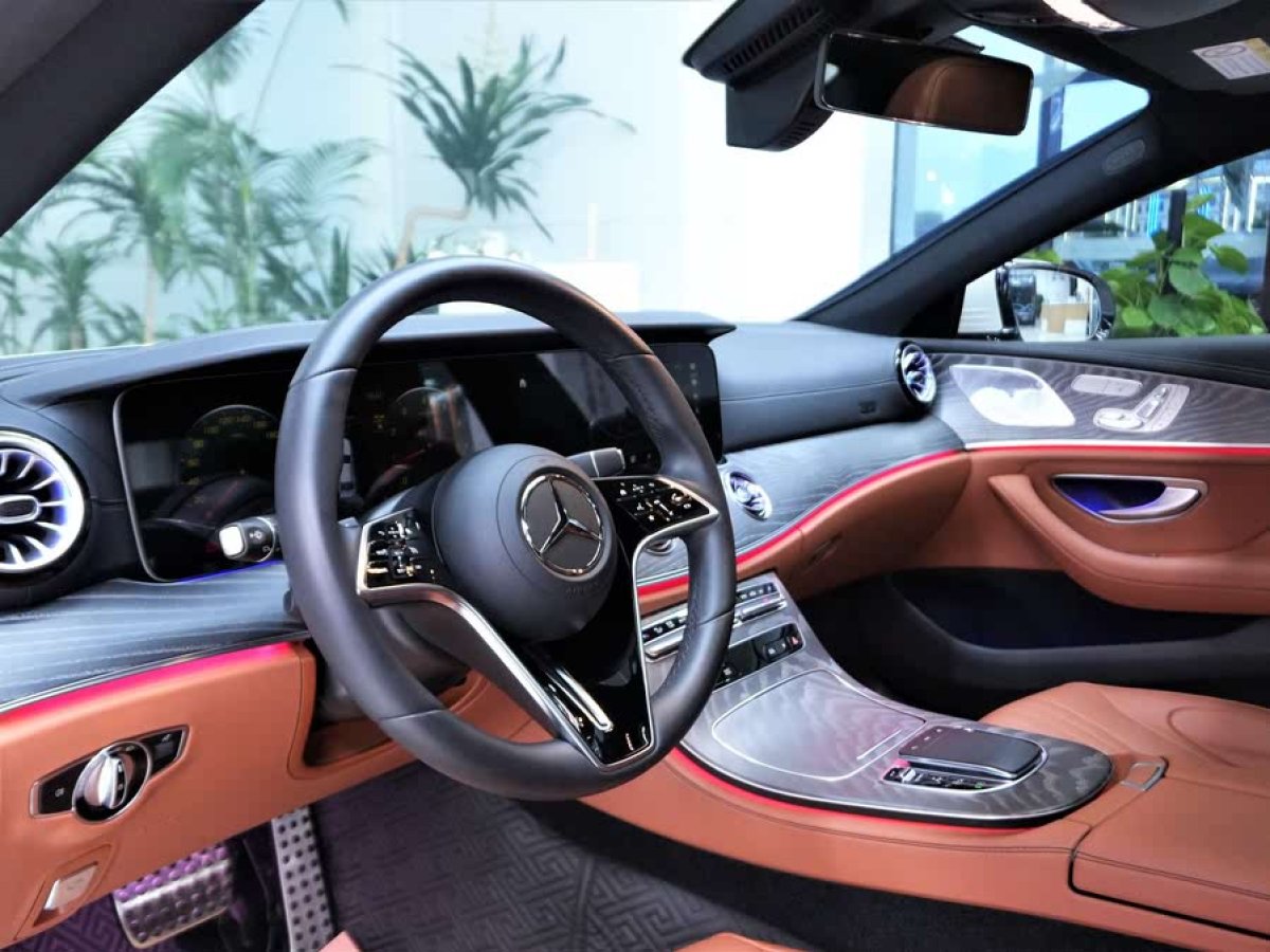 奔馳 奔馳CLS級(jí)  2023款 改款 CLS 300 豪華型圖片