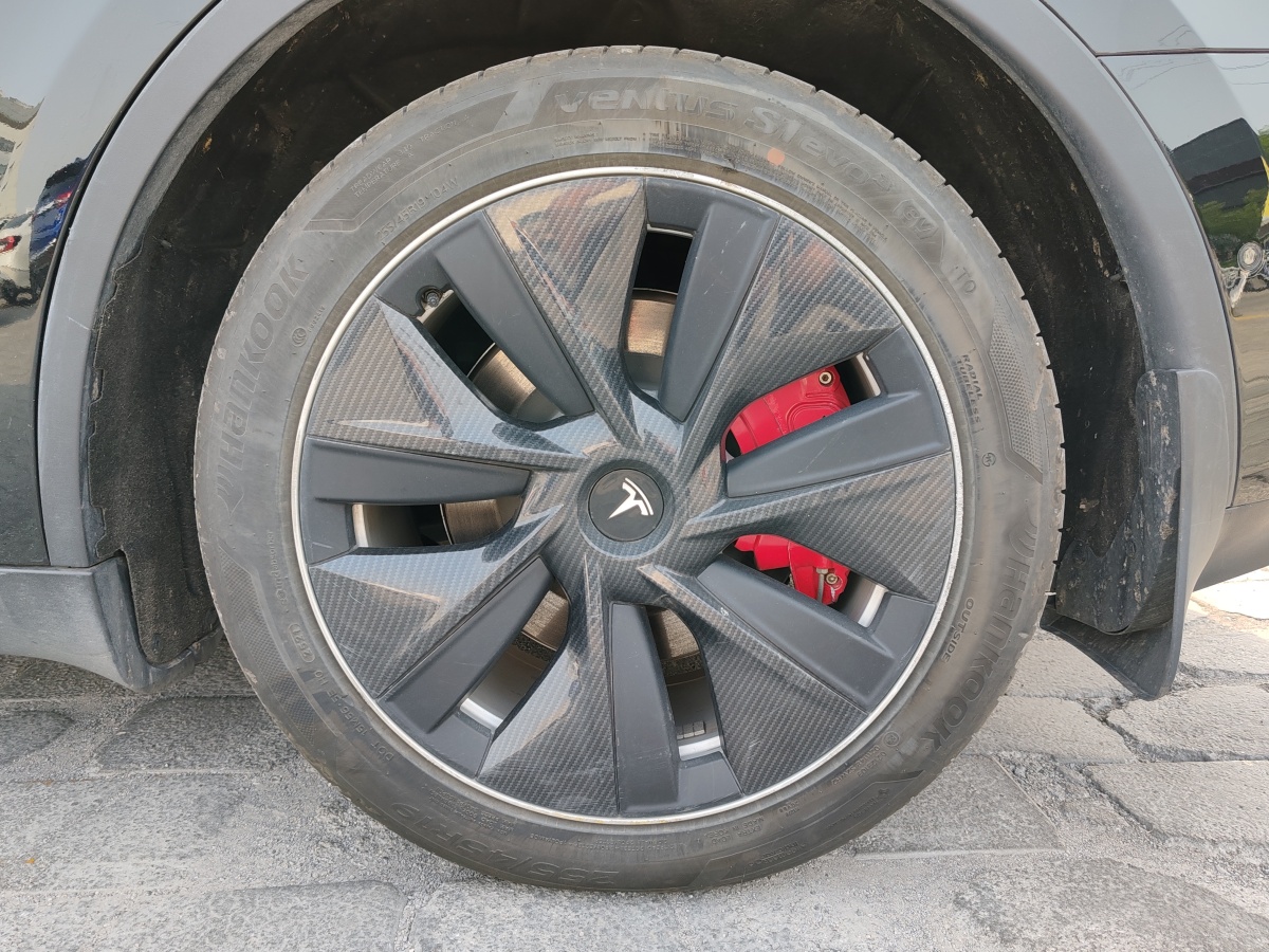 特斯拉 Model Y  2021款 標準續(xù)航后驅版圖片