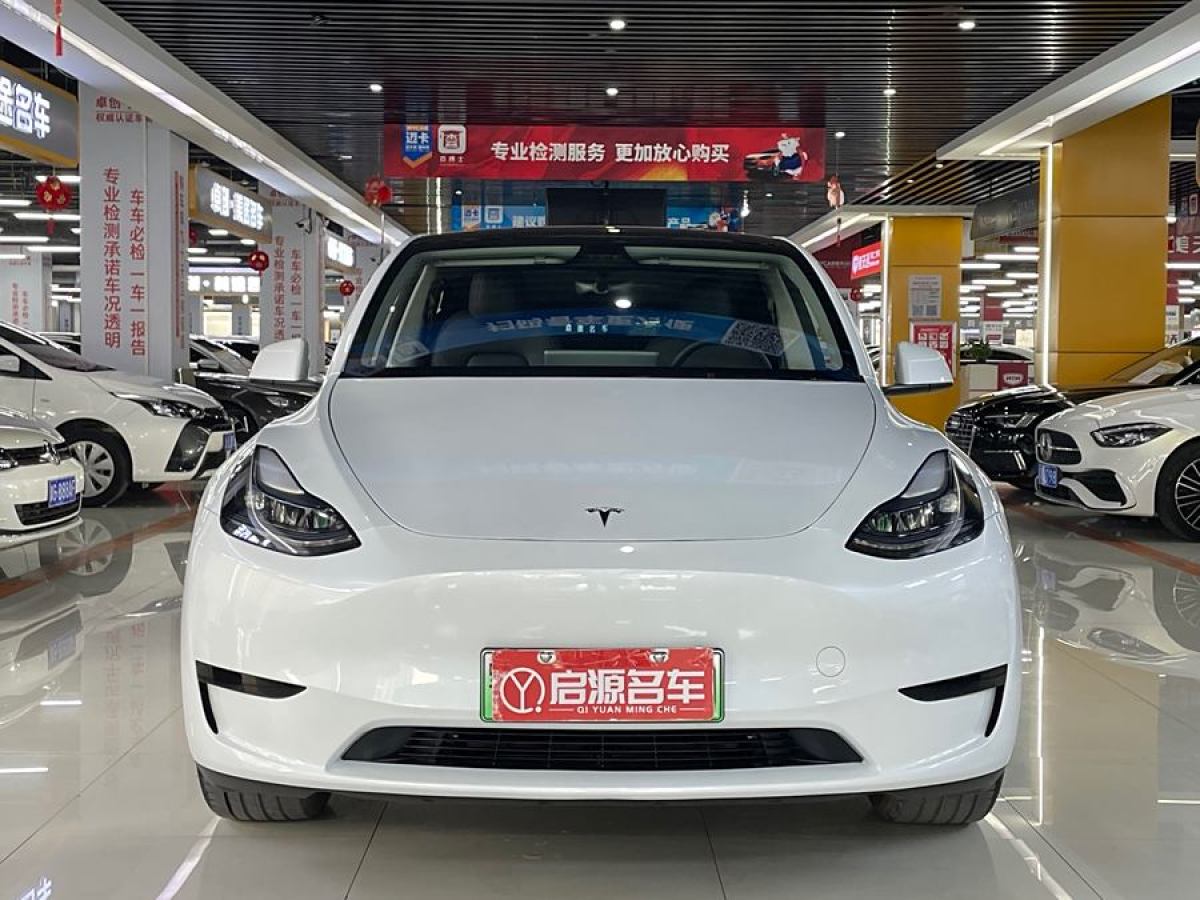 特斯拉 Model 3  2020款 改款 長續(xù)航后輪驅(qū)動(dòng)版圖片