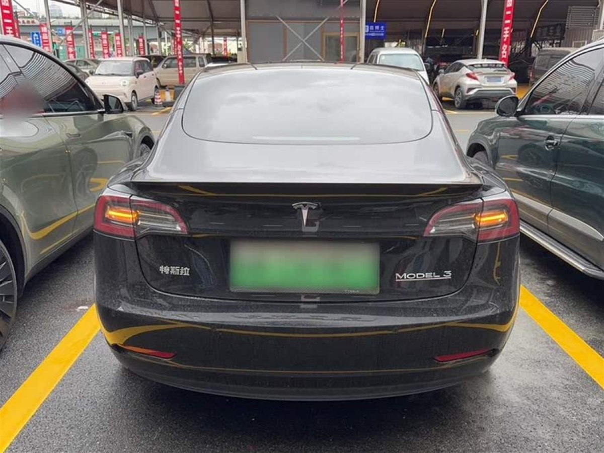 特斯拉 Model 3  2021款 改款 Performance高性能全輪驅(qū)動(dòng)版圖片