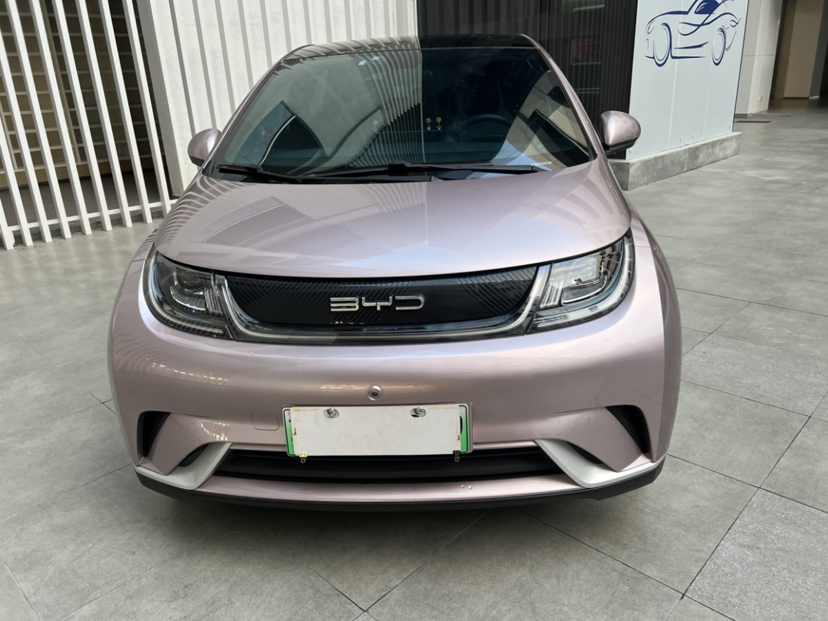 比亞迪 海豚  2021款 405km 自由版圖片