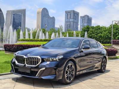 2025年6月 寶馬 寶馬5系 530Li 領(lǐng)先型 M運(yùn)動(dòng)套裝圖片