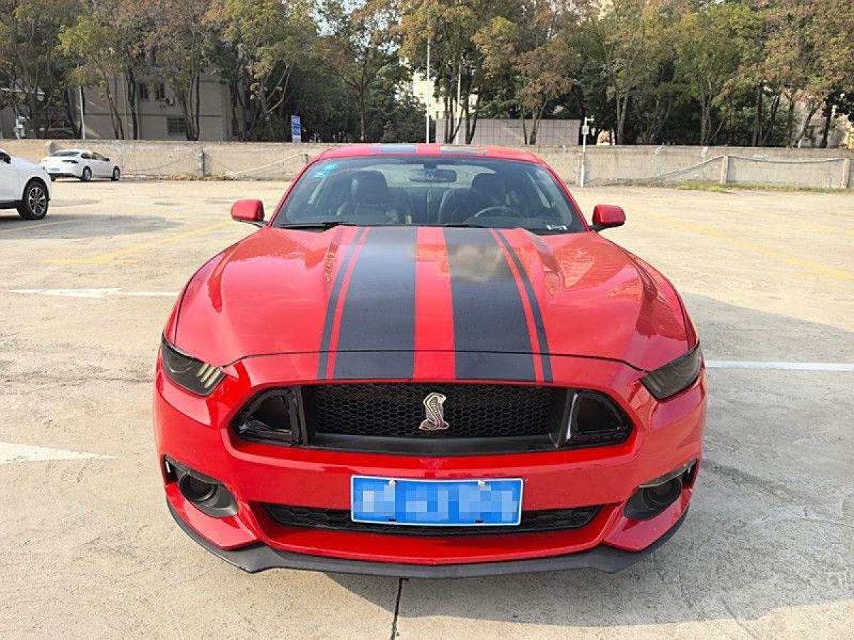 福特 Mustang  2015款 2.3T 性能版圖片