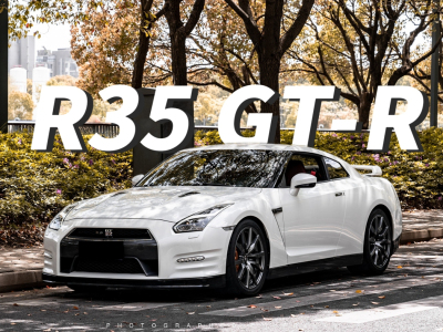 2014年1月 日产 GT-R  3.8T Premium Edition 棕红内饰图片