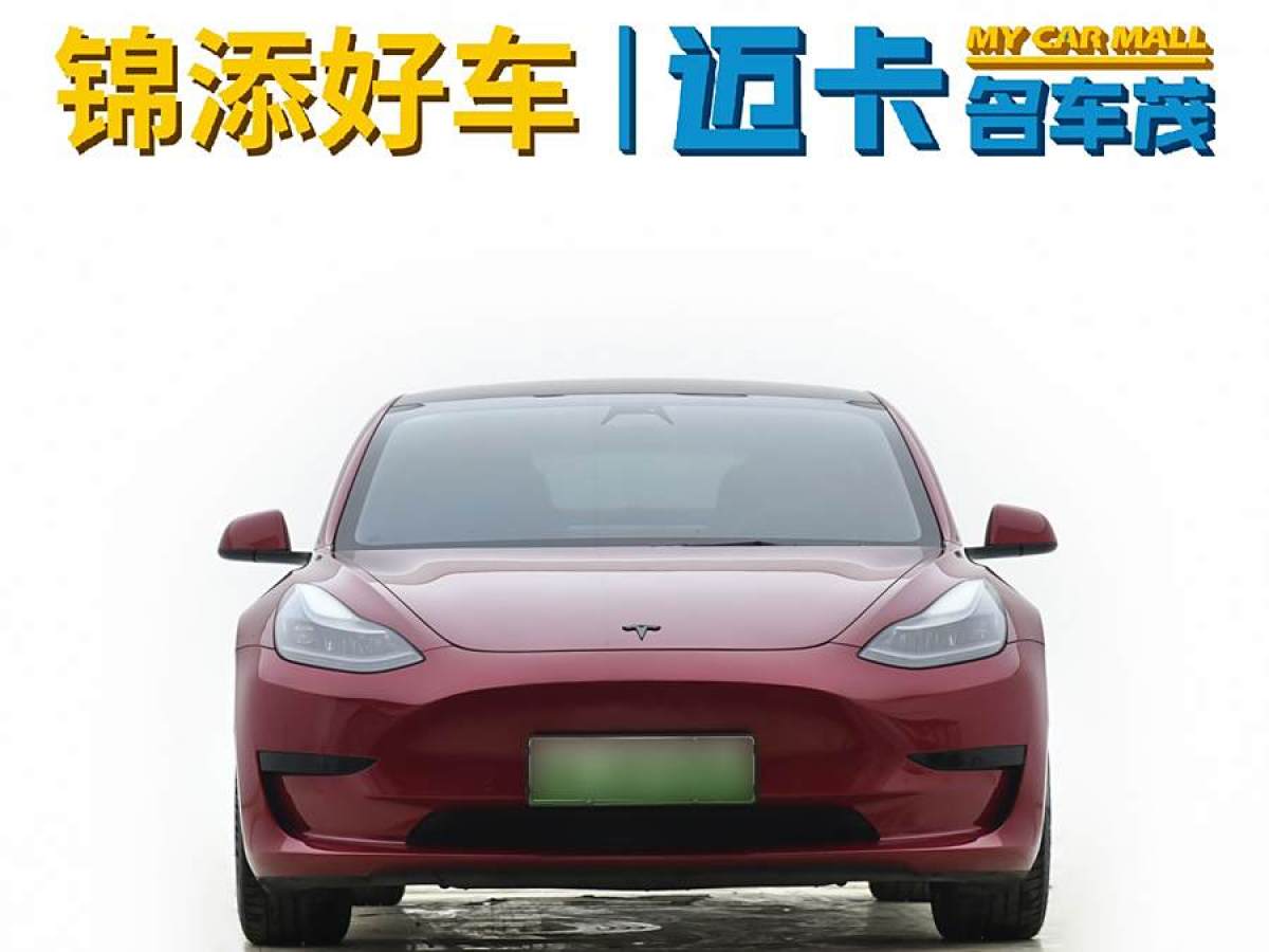 特斯拉 Model 3  2019款 標(biāo)準(zhǔn)續(xù)航后驅(qū)升級(jí)版圖片