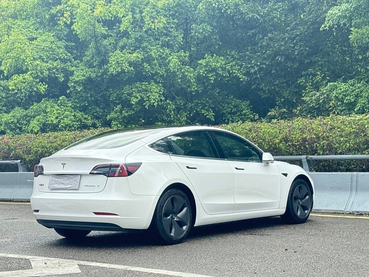 2020年7月特斯拉 Model Y  2020款 改款 標(biāo)準(zhǔn)續(xù)航后驅(qū)升級(jí)版