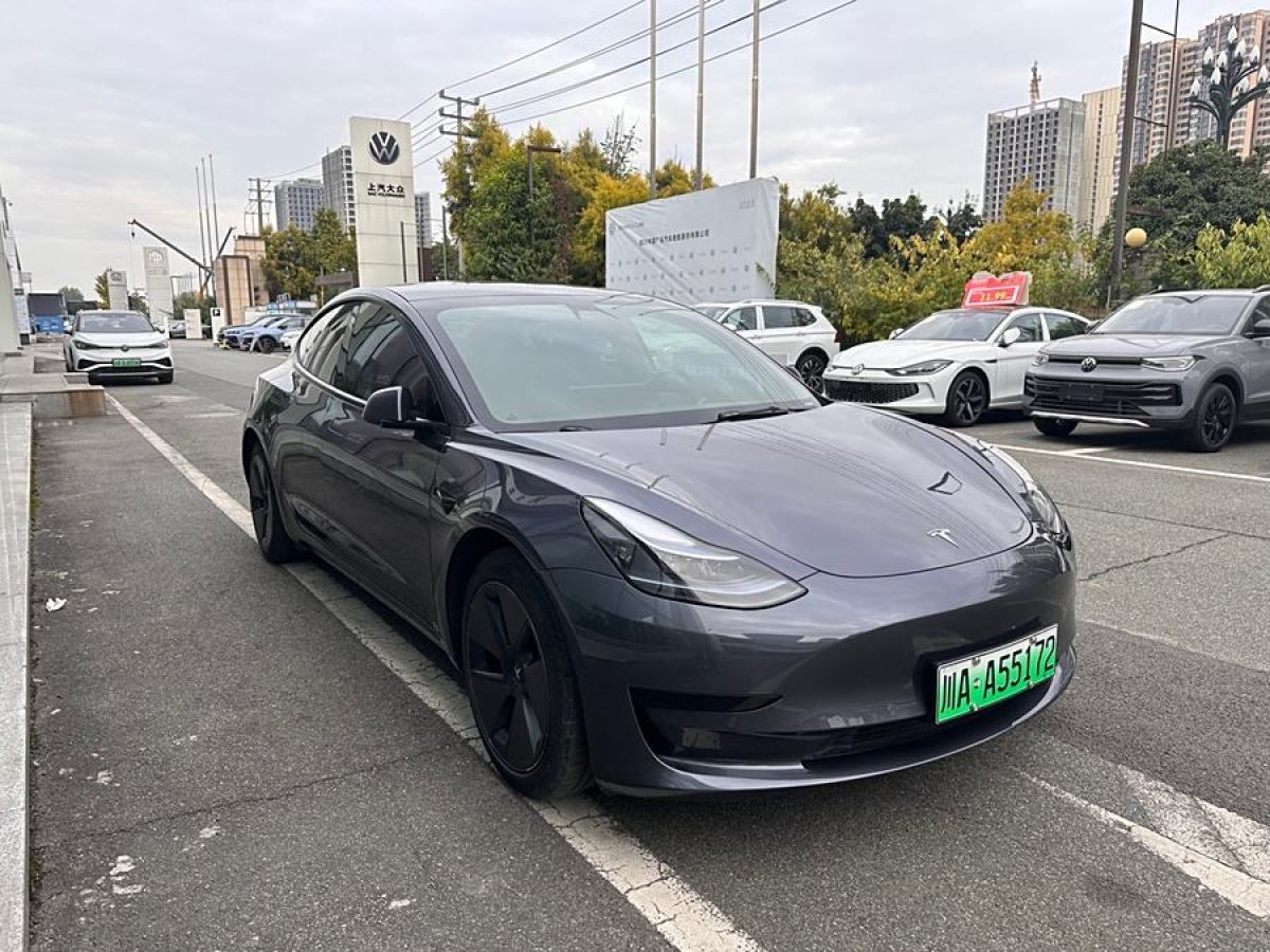 特斯拉 Model 3  2021款 標(biāo)準(zhǔn)續(xù)航后驅(qū)升級(jí)版 3D6圖片