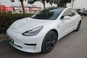 Model 3 特斯拉 長續(xù)航后驅版