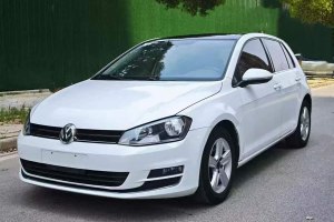 高爾夫 大眾 1.6L 自動(dòng)舒適型