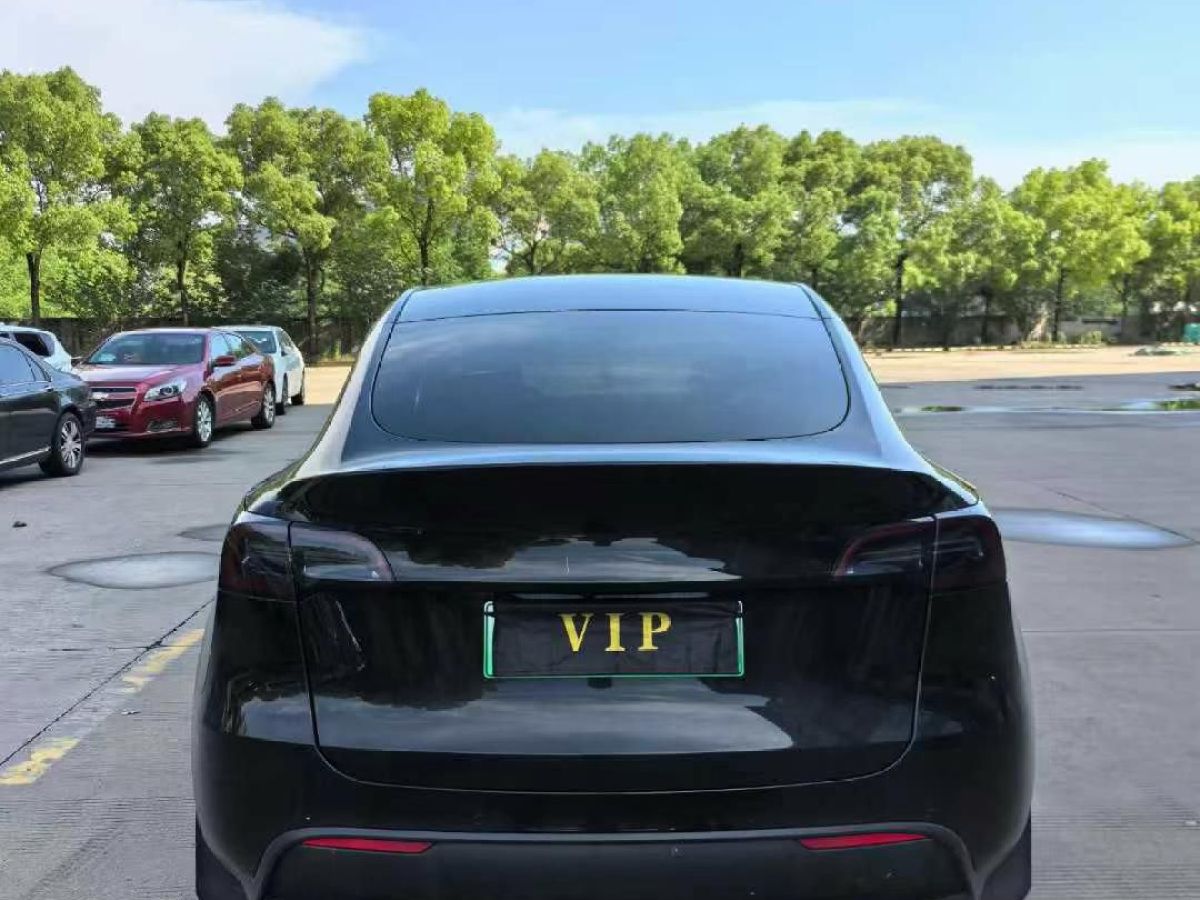 特斯拉 Model Y  2022款 Performance高性能全輪驅動版圖片