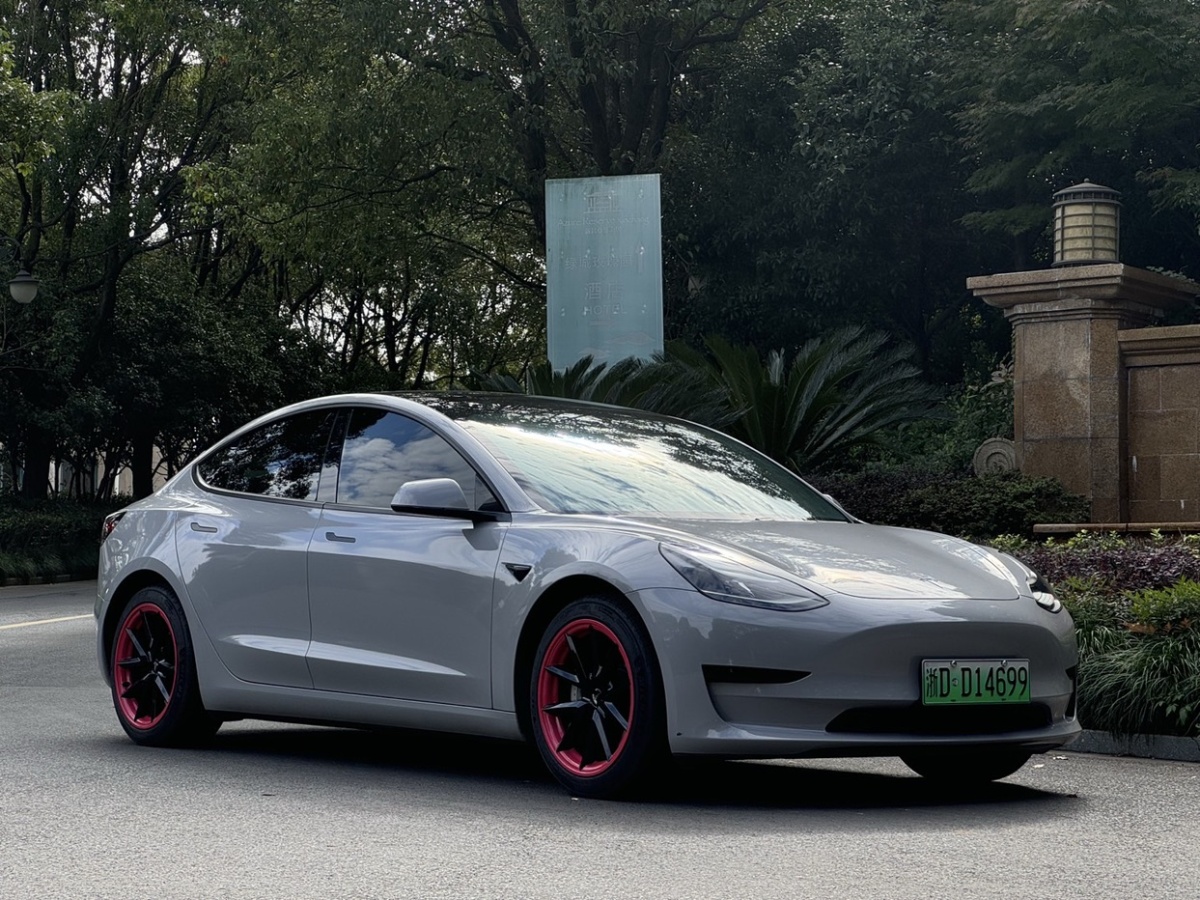 2021年1月特斯拉 Model 3  2021款 標(biāo)準(zhǔn)續(xù)航后驅(qū)升級(jí)版