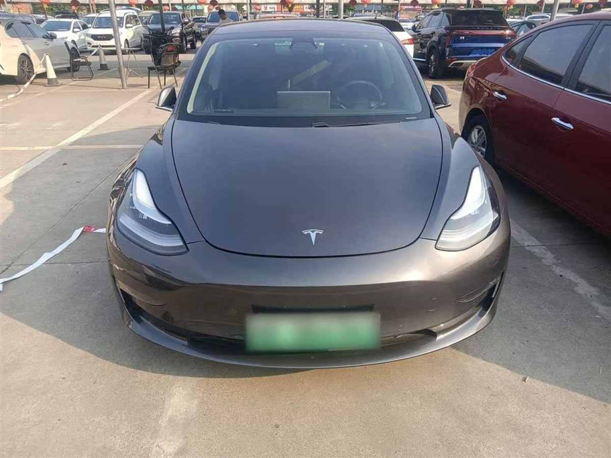 特斯拉 Model 3  2020款 改款 長續(xù)航后輪驅(qū)動版圖片