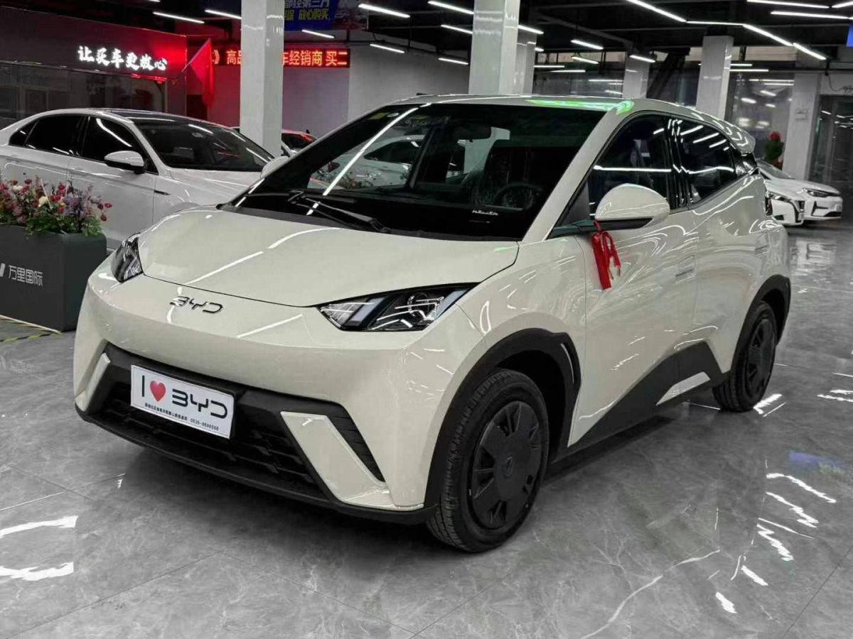 比亞迪 宋L DM-i  2024款 112km 超越型圖片