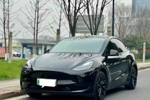 Model Y 特斯拉 Performance高性能全轮驱动版