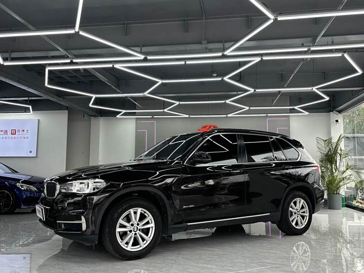 寶馬 寶馬X5  2014款 xDrive35i 領(lǐng)先型圖片