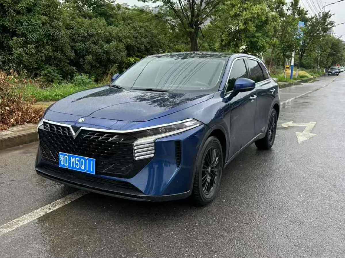 啟辰 啟辰大V  2022款 260T 定制版?愛豆圖片