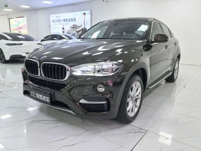 2017年12月 寶馬 寶馬X6(進(jìn)口) xDrive35i 豪華型圖片