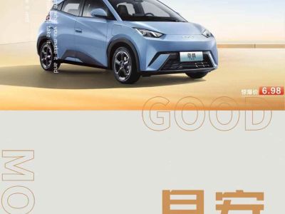 2024年9月 比亞迪 宋L 550km 卓越型圖片