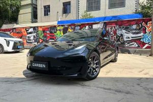 Model Y 特斯拉 Performance高性能全輪驅(qū)動(dòng)版