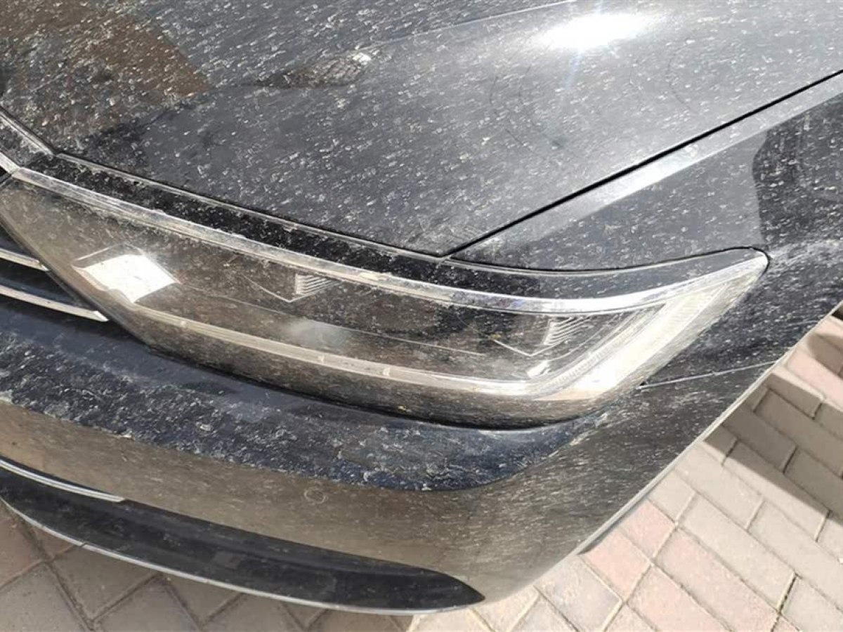 大眾 邁騰  2019款  280TSI DSG 領(lǐng)先型 國(guó)VI圖片