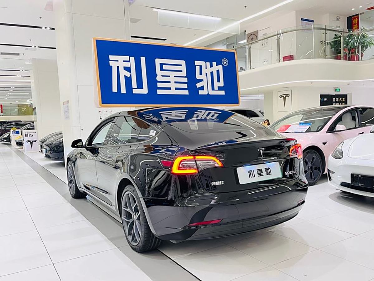 特斯拉 Model 3  2022款 Performance高性能全轮驱动版图片