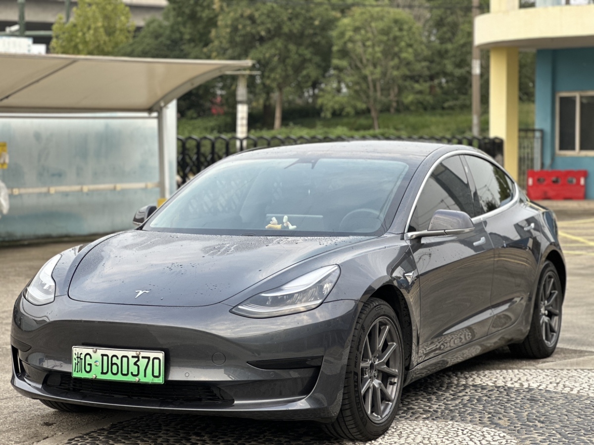 特斯拉 Model Y  2020款 標(biāo)準(zhǔn)續(xù)航后驅(qū)升級(jí)版圖片