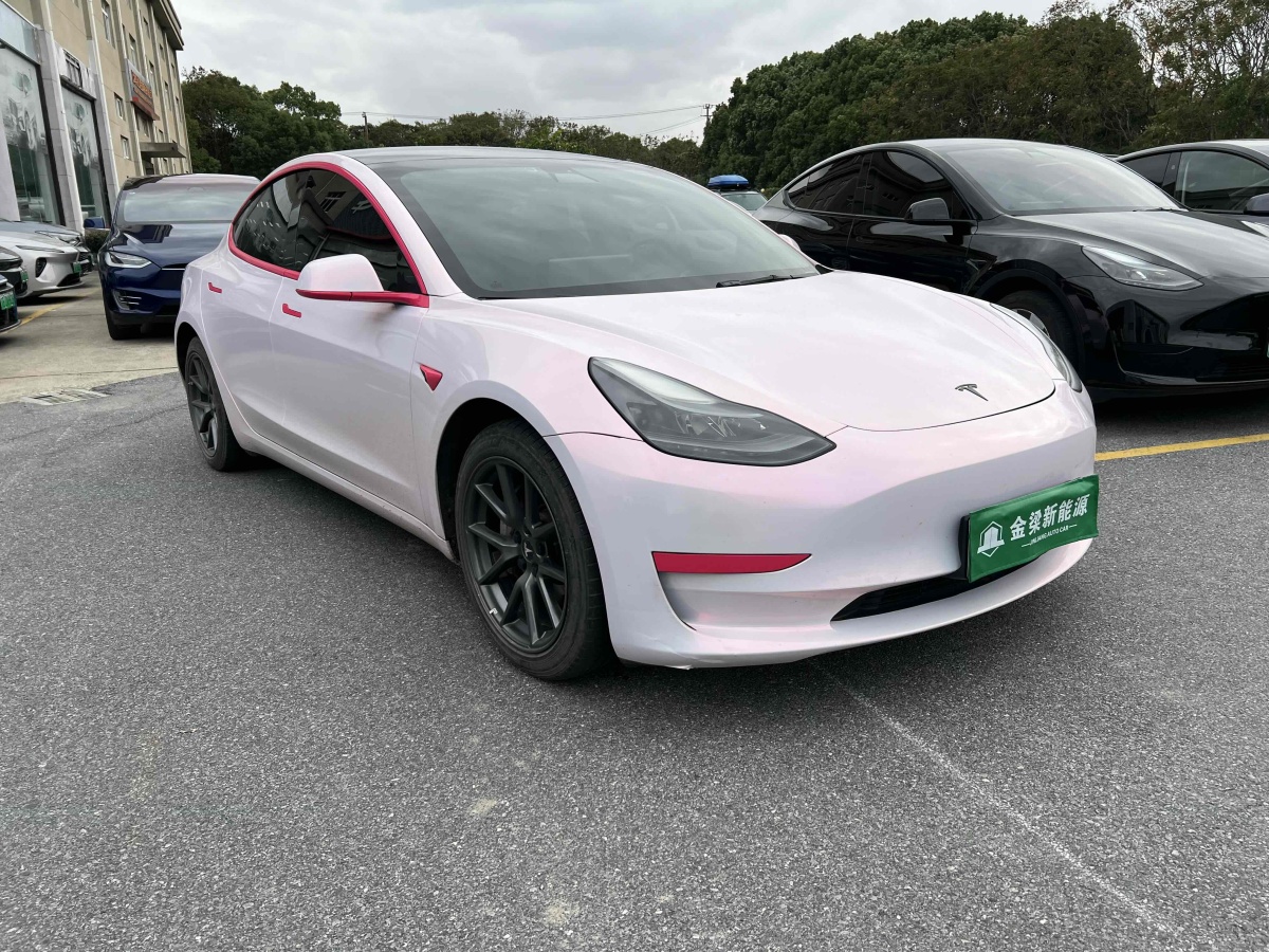 特斯拉 Model Y  2021款 標(biāo)準(zhǔn)續(xù)航后驅(qū)升級(jí)版 3D6圖片