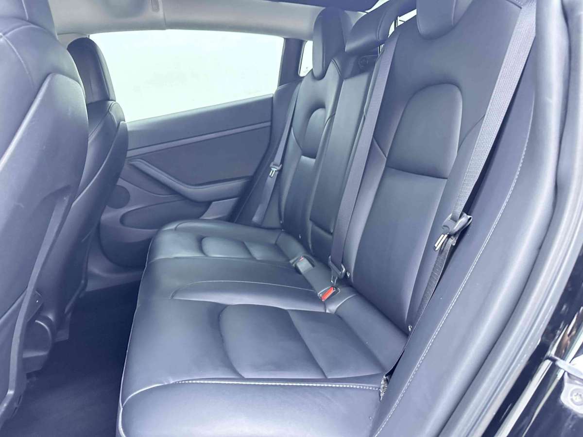 特斯拉 Model 3  2022款 后輪驅(qū)動(dòng)版圖片