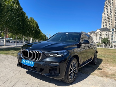 宝马 宝马X5(进口) xDrive30i M运动套装图片