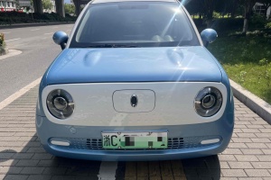 歐拉黑貓 歐拉 301km 基礎(chǔ)型