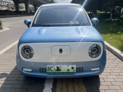 2021年6月 歐拉 歐拉黑貓 301km 基礎型圖片