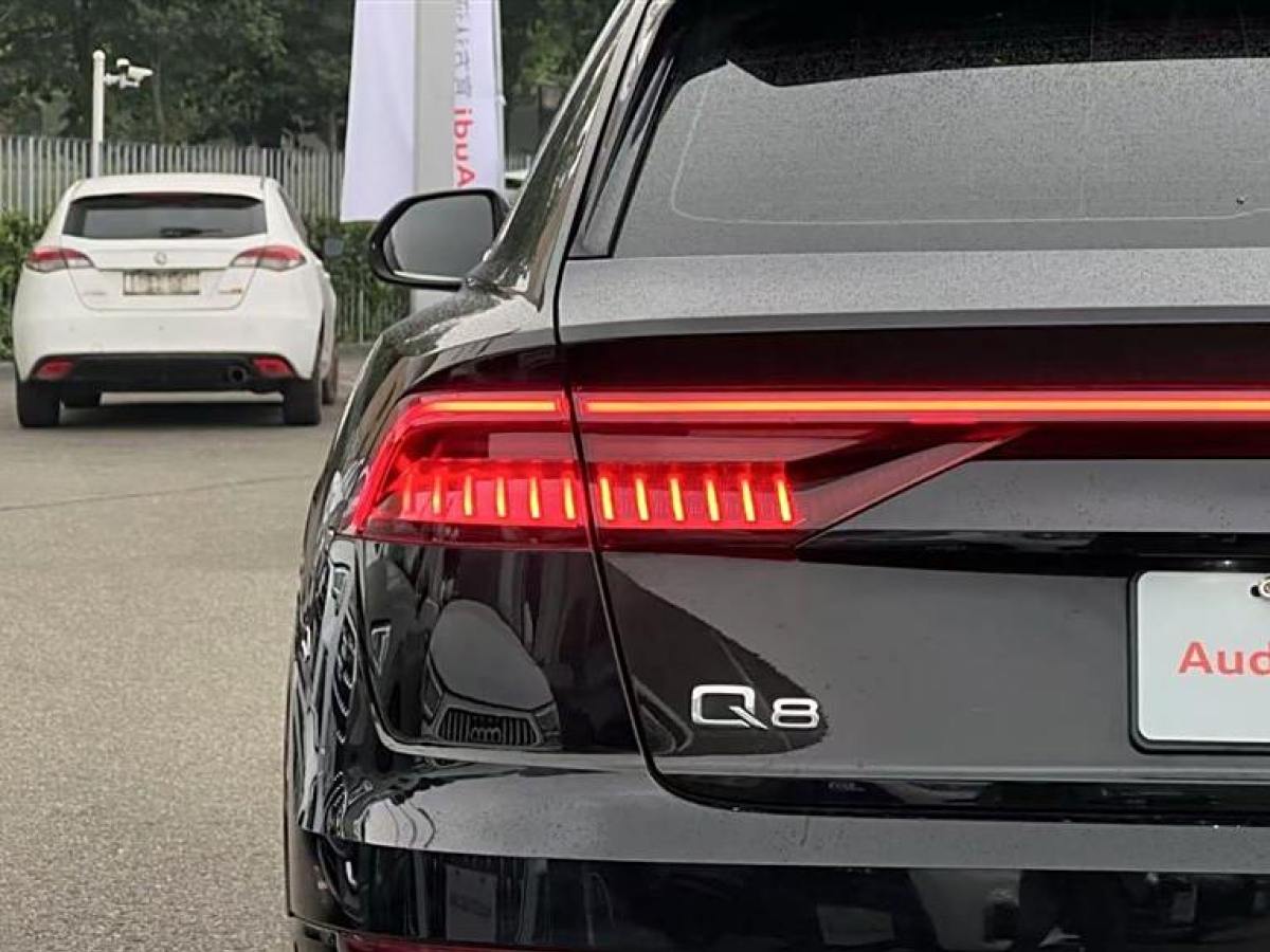 2023年7月奧迪 奧迪Q8  2023款 55 TFSI 豪華動感型