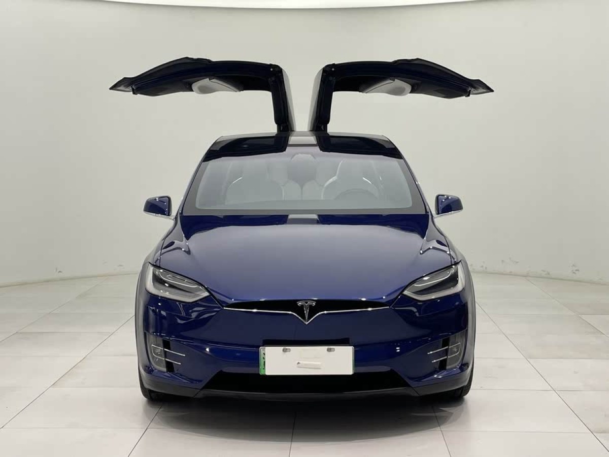 特斯拉 Model X  2017款 Model X 100D 長(zhǎng)續(xù)航版圖片