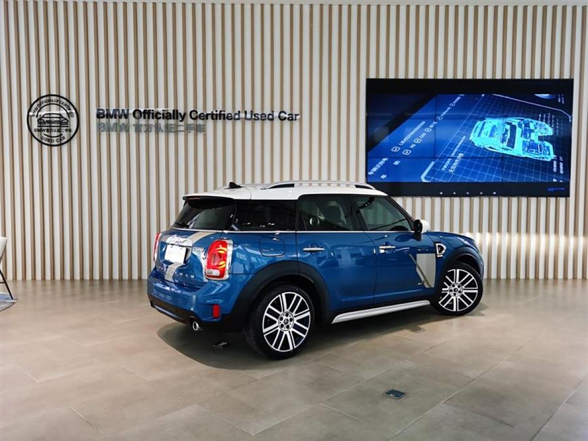 MINI COUNTRYMAN  2019款 2.0T COOPER S ALL4 藝術(shù)家圖片