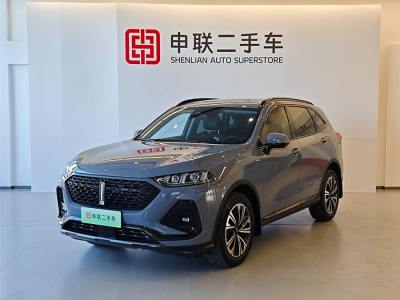 2022年4月 WEY 拿鐵DHT-PHEV 1.5T 兩驅(qū)大杯圖片