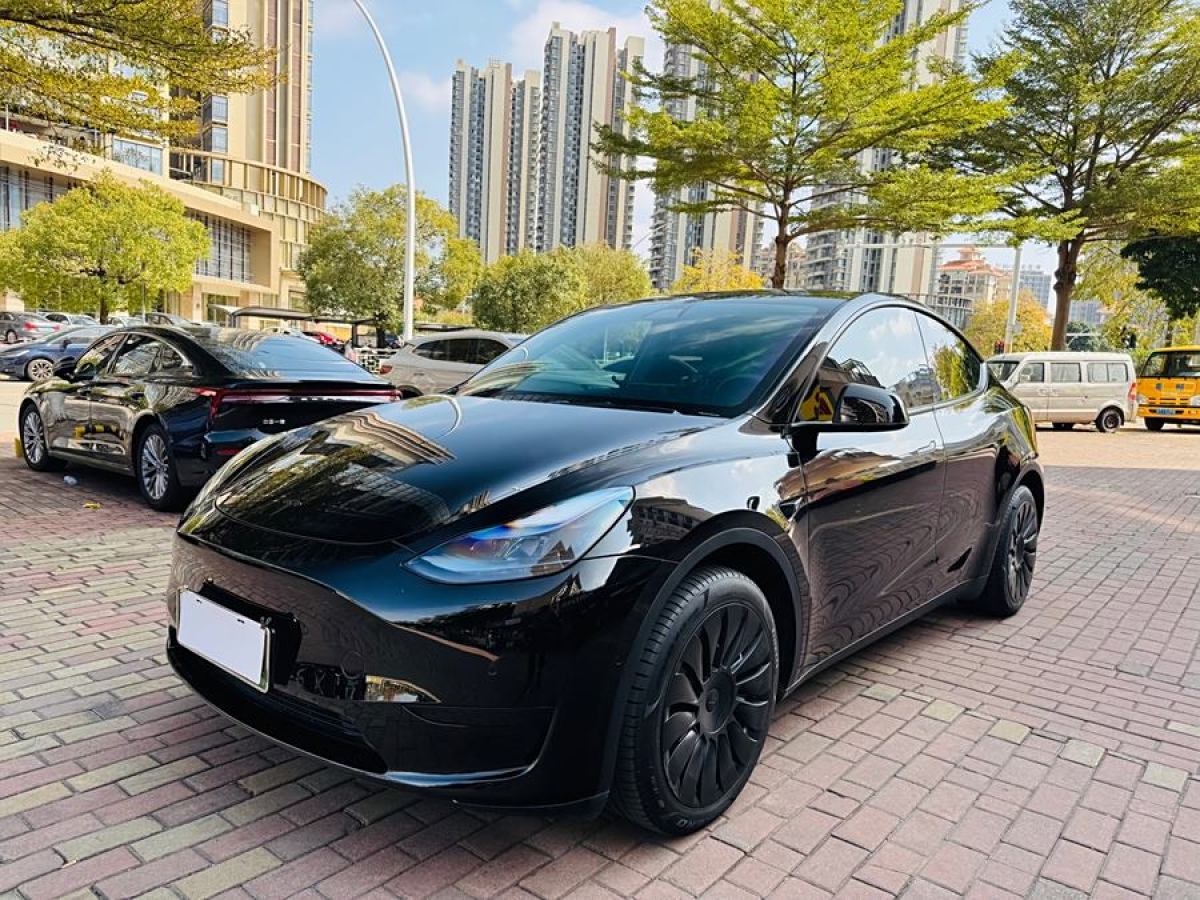 特斯拉 Model 3  2020款 改款 長續(xù)航后輪驅(qū)動版圖片