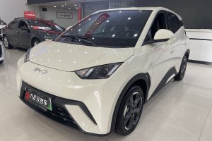 海鷗 比亞迪 305km 自由版