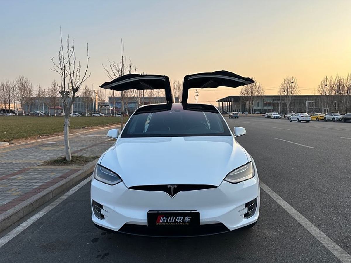 特斯拉 Model X  2016款 Model X 60D圖片