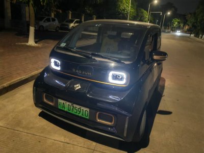 2021年8月 寶駿 寶駿KiWi EV 藝術(shù)家 三元鋰圖片