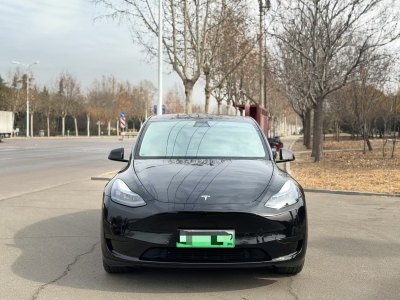 2022年11月 特斯拉 Model 3 后輪驅(qū)動版圖片