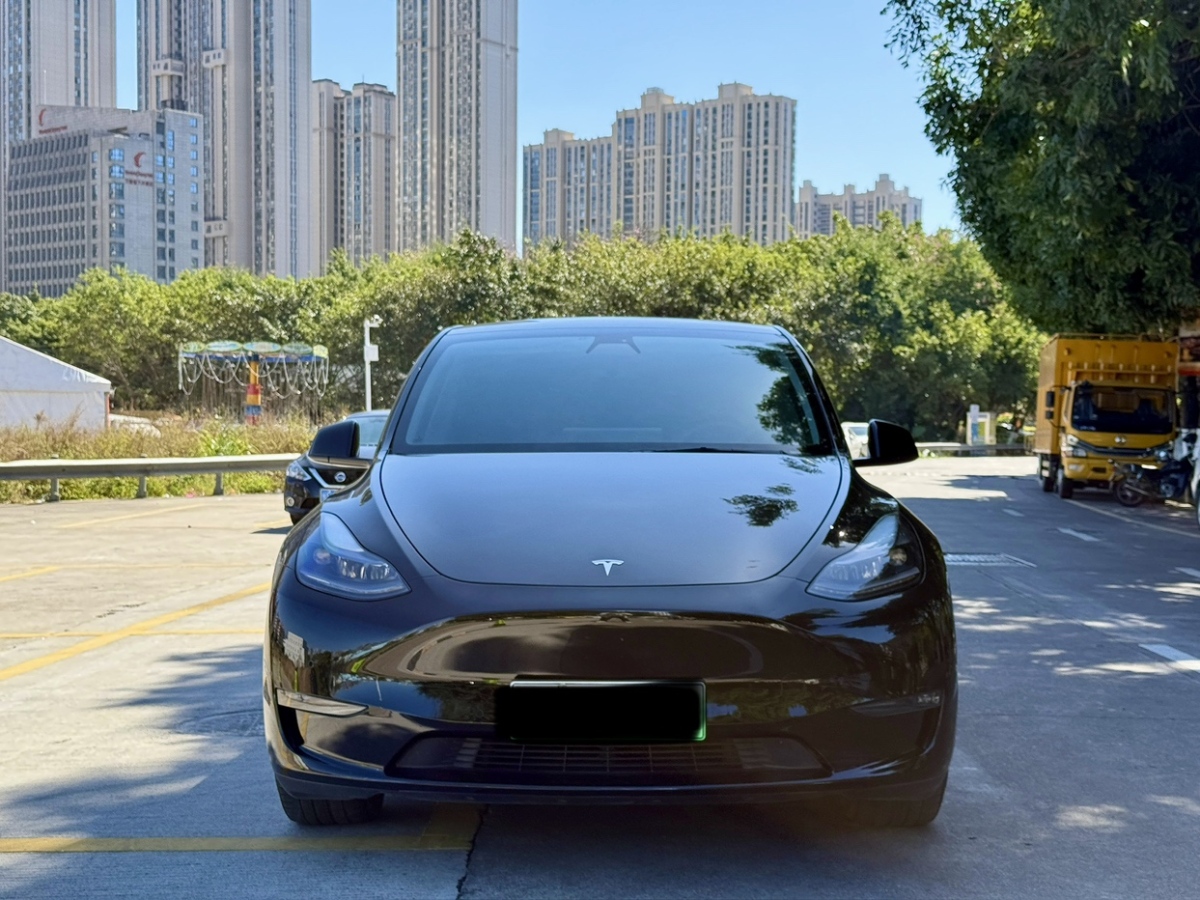 特斯拉 Model Y  2021款 改款 標(biāo)準(zhǔn)續(xù)航后驅(qū)升級(jí)版圖片