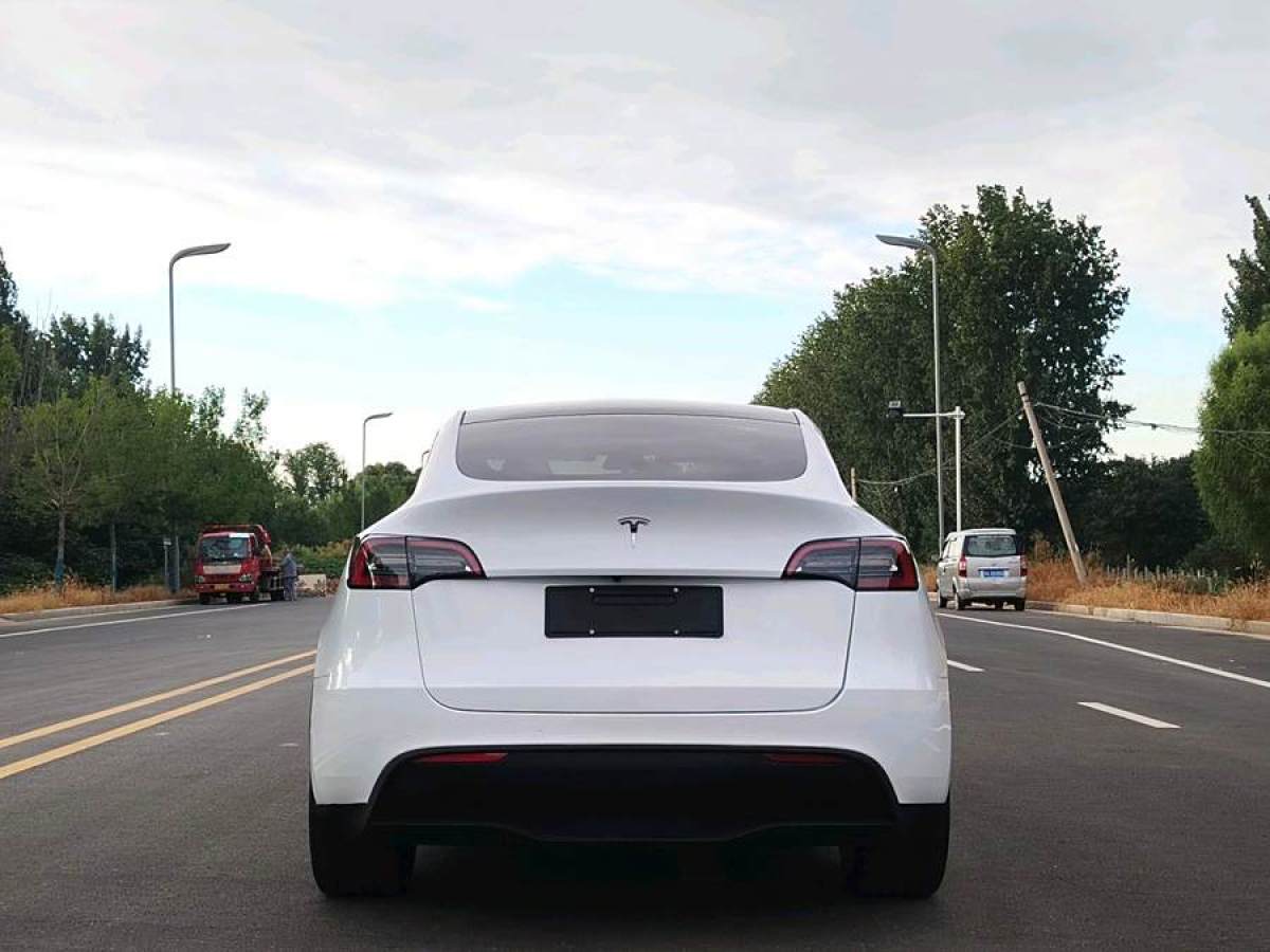 特斯拉 Model 3  2020款 改款 長續(xù)航后輪驅動版圖片