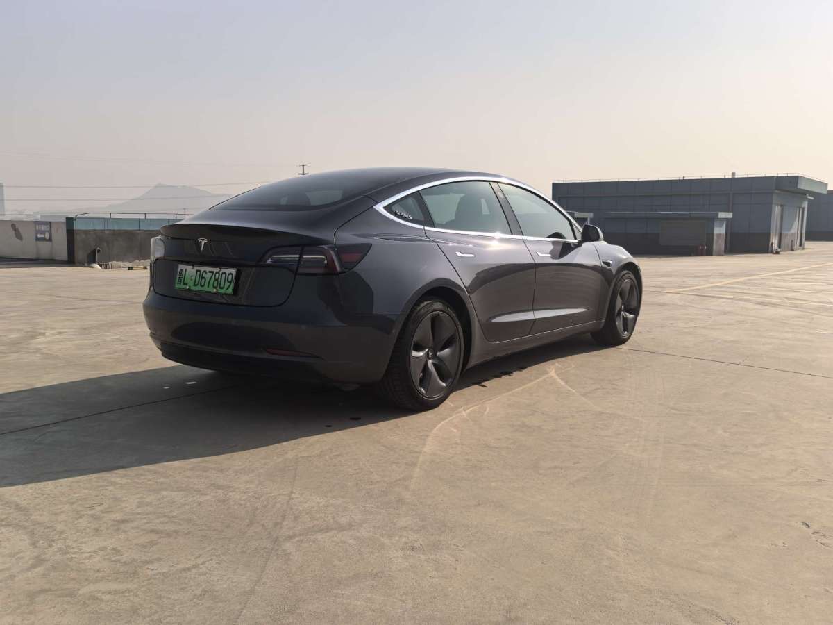 特斯拉 Model 3  2019款 長續(xù)航后驅(qū)版圖片