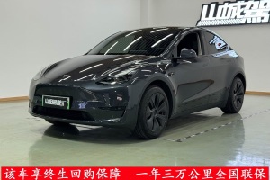 Model Y 特斯拉 后輪驅(qū)動版