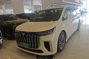 夢(mèng)想家 嵐圖 PHEV 超長(zhǎng)續(xù)航旗艦版